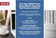 Title of The New MSSP Final Webinar/Roundtable Rule; What ...… · Final Rule revises several existing definitions “ACO participant” – “an entity identified by a Medicare-enrolled