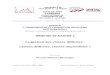 MASTER « ENSEIGNEMENT ET FORMATION HOTELLERIE …mcinotti.free.fr/index_htm_files/ULLMANN_PASCALE_M2_SAHR.pdf · DEUXIEME PARTIE : DÉMARCHE ANALYTIQUE. ..... 30 I. Observation préliminaire