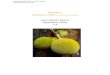 Breadfruit Artocarpus altilis (Parkinson) Fosberg Juan ... · Juan Alberto Bueno Agriculture Class 11F 1 . A rt o ca rp u s a l t i l i s ( Parkinson)Fosberg Colegio Bolivar 2017-18
