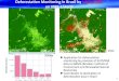 Deforesta)on+Monitoring+in+Brazil+by+L5band+SAR+ …copjapan.env.go.jp/cop/cop21/program/151201/1300-1400/... · 2018-11-15 · Lunar & Planetary Exploration Program Astronaut Kimiya