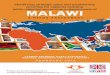 Identifying strategic gaps and establishing priorities …...Malawian districts. The programme aims to do this by providing appropriate training and mentorships. The programme will