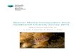 Skomer Marine Conservation Zone Nudibranch Diversity ... · Nudibranchs are a feature of the Skomer MCZ for which species diversity is an attribute used to assess conservation status