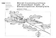 Bird communities of gambel oak: a descriptive analysis · oak vegetation types in western Colorado, Steinhoff (1978) documented 62 species in gambel oak woodlands, 40 species in ponderosa