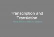 Transcription and Translation - Crossroads Academy · Transcription vs. Translation Review Transcription •Process by which genetic information encoded in DNA is copied onto messenger
