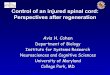 Control of an injured spinal cord: Perspectives after …...Zurich-02 10/10/02 Control of an injured spinal cord: Perspectives after regeneration Avis H. Cohen Department of Biology
