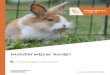 Huisdierwijzer konijn konijn.pdfVoor het hooi is een ruif aan te raden. Zo blijft het hooi proper. Knaagmateriaal zoals speciale stukken hout en takken helpen bij het afslijten van