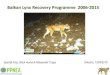 Balkan Lynx Recovery Programme 2006-2015 - ECSDE · The first photo of the Balkan lynx in Shebenik-Jabllanicë NP 710 photos of wildlife (13 species) Lynx lynx balcanicus 4, Vulpes