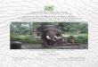 Report on the Welfare & Veterinary Status Captive ... · 3 Elephants of the Guruvayur Devaswom Board, Thrissur, Kerala– AWBI, MoEF Inspection conducted on the 26, 27, 28th August