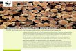 Illegalen Holzeinschlag eindämmen - WWFmobil.wwf.de/fileadmin/fm-wwf/Publikationen-PDF/Kampagne... · 2011. 11. 9. · Illegalen Holzeinschlag eindämmen WWF drängt auf wirkungsvolles