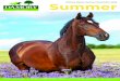 Damory Equine Summer Newsletter 2020 Summer Equine... · 01258 452 626 Damory Lodge, Edward St, Blandford Forum, Dorset, DT11 7QT (5) How to keep your horse cool in the summer Summer
