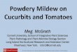 Powdery Mildew on Cucurbits and · PDF file 2019. 1. 24. · Organic Biofungicide Program - Powdery Mildew Powdery mildew severity and Percent control Upper leaf surface Lower leaf
