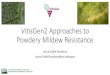 VitisGen2 Approaches to Powdery Mildew Resistance 2018. 1. 19.¢  Powdery Mildew Resistance Lance Cadle-Davidson
