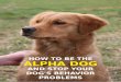 To STOP Your Dog’s Behavior Problems for GOOD, check out ... · behavior issues. Human beings personify everything they see. So, when we see a dog who looks upset in a way that