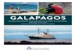 GALAPAGOS - Mass Audubon · galapagos darwin’s enchanted isles aboard the 32-guest m/v evolution february 15-24, 2019 with mass audubon’s scott santino