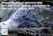Stream Studies of Hatchery-Wild Pink and Chum Salmon ... · PWS and SE, Alaska, 2015 Kristen Gorman, Ben Adams, Julia McMahon and Eric Knudsen Prince William & Sitka Sound Science