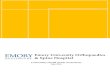 Emory University Orthopaedics & Spine Hospital · 2020. 8. 12. · EMORY UNIVERSITY ORTHOPAEDICS & SPINE HOSPITAL COMMUNITY HEALTH NEEDS ASSESSMENT July 2016 Page 2 EXECUTIVE SUMMARY