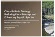 Chehalis Basin Strategy: Reducing Flood Damage and Enhancing … · 2014. 5. 9. · Chehalis Basin Strategy: Reducing Flood Damage and Enhancing Aquatic Species . Aquatic Species