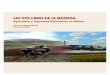 Las Dos Caras De La MoneDa...Las Dos Caras De La MoneDa: agricultura y seguridad alimentaria en Bolivia enrique Castañón Ballivián Fundación TIerra Forschungs- …