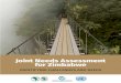 Joint Needs Assessment for Zimbabwe · 2020. 1. 14. · iv JOINT NEEDS ASSESSMENT FOR ZIMBABWE BOXES 3.1 Key Policy Measures Taken since November 2017 14 3.2 Urban dynamics in Zimbabwe