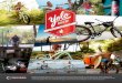 Introducing the Single Speed Cruisers ... - YOLO Board€¦ · Introducing the Single Speed Cruisers, exclusively designed and developed by YOLO Bike Co. Built with function, comfort,