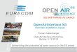 OpenAirInterface 5G€¦ · OpenAirInterface 5G Overview, Installation, Usage Florian Kaltenberger OpenAirInterface Workshop, Beijing, 3.12.2019 Unleashing the potential of open-source