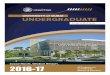 UNDERGRADUATE Handbook 16...¢  2017. 7. 13.¢  Admissions/Enrollment 04 556 6871 halmaaini@ud.ac.ae College