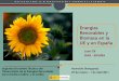 Energías Renovables y Biomasa en la UE y en España€¦ · Energías renovables en la UE y en España . Principales actuaciones del IDAE • Propuesta, adopción y ejecución de