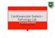 Cardiovascular System- Pathology Lab - JU Medicine...2019/10/03  · Cardiovascular System - Pathology Lab 3rd year medical students Dr. Nisreen Abu Shahin Amniotic fluid embolus: