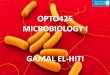 OPTO425 MICROBIOLOGY I - KSU · When the balance between normal flora and pathogens is upset, disease can result. The normal bacterial microorganisms (normal flora) of the adult human