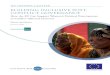 BUILDING INCLUSIVE POST- CONFLICT GOVERNANCE · SCR 1325 Security Council Resolution 1325 on Women, ... Similarly, overall aid structures and flows, such as the aid effectiveness