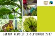 BANANA NEWSLETTER-SEPTEMBER 2017clac-comerciojusto.org/wp-content/uploads/2015/04/... · By Edwin Vargas Strengthening and Development Manager - Costa Rica and Panama, CLAC. As a