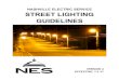 NASHVILLE ELECTRIC SERVICE STREET LIGHTING GUIDELINES · a. Street Lighting – Contact the Customer (see page 5) b. Outdoor Lighting – Call to place an order (see page 6) 3. Select