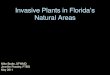 Invasive Plants in Florida’s Natural Areas · PDF file 2011. 5. 16. · Bignoniaceae – Flowers with bilateral symmetry, compound leaves (same family as Tabebuia) Woody, high- climbing