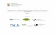 REPORT OF THE STEERING COMMITTEE ON PROJECT REBIRTH …webapps.daff.gov.za/AmisAdmin/upload/Report 1 Steering... · 2016. 7. 19. · market agents through IMASA (Institute of Market