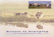 Kennis in beweging 1998 - Paul Terwan in beweging 1998.pdf · Naar een betere kennisvoorziening voor het agrarisch natuur- en landschapsbeheer in West- en Midden-Nederland J. Buijs