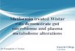 Metformin treated Wistar rats demonstrate gut microbiome and …bioanalysis.web.auth.gr/metabolomics/files/monday/... · 2016. 5. 30. · Metformin treated Wistar rats demonstrate