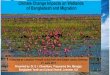 Climate Change Impacts on Wetlands of …...Sundarbans mangrove 140,000 ha, Khulna, Bagerhat St. Martin Islands 800 ha 5 Climate Change (CC) (long-term changes in climate & weather