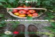 LOCALE ET BIOLOGIQUE VONT MEIUX ENSEMBLES! · dangers pour la santé que posent les pesticides.4 • Comme ceux qui se servent de pesticides, les fermiers et les travail-leurs agricoles