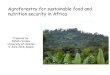 Agroforestry for sustainable food and nutrition security ... · Faidherbia albida increases maize yields (Tanzania). ... in association with Faideherbia albida was reported to increase