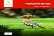 Oiseaux rares observés à Bruxelles en 2007-2017€¦ · nature spectaculaire. Le monitoring des oiseaux à Bruxelles Des relevés de terrain annuels permettent de suivre l’avifaune