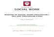 MASTER OF SOCIAL WORK PRACTICUM I- 651 AND PRACTICUM … · The Faculty Field Liaison reviews and provides feedback for the student, Task Instructor, and Field Instructor in the box