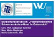 Studienpräsentation: „Flächendeckende Schwerverkehrs-Maut in … · 2017. 3. 15. · Studienpräsentation: „Flächendeckende Schwerverkehrs-Maut in Österreich“ Univ. Prof