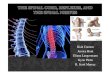 Presentation on Spinal Nerves, Reflexes, and Spinal Cord.pptsin THE SPINAL CORD, REFLEXES, AND THE SPINAL