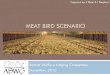 MEAT BIRD SCENARIO - AWJAC · ¤ 20 years with poultry ¤ 10 years with meat bird production ¨ Contract grower for large mid-west poultry company ¨ Grower has 4 year animal science