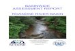 2010 Basinwide Assessment Report - North Carolina · ROA RIVER HUC 03010103—DAN RIVER HEADWATERS ... INTRODUCTION TO PROGRAM METHODS The Division of Water Quality uses a basinwide