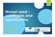 Mussel seed – constraints and opportunities...Michael Tait Gregg Arthur Presentation in two parts Stepping Stone Project Update on progress Lessons Learned Next Steps Sector Ambitions