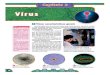 Full page photo - e-conhecimento.com.br€¦ · 1.2. Um vírus pode parasitar qualquer tipo de célula? Cada virus pode parasitar apenas determinados tipos de células e isso de-