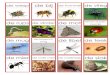de wesp de bij de hommel de vlieg - Spelen en Leren · PDF file de hoofdluis de vlo . kriebelbeestjes - memorie—Yura—kriebelbeestjes - memorie—Yura—kriebelbeestjes - memorie—Yura—kriebelbeestjes