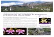 Communiqué de Presse - Univet Nature · international Orchidées Paris 2018 A l’occasion du Congrès Européen des Orchidées, l’auteur fera une présentation de son ouvrage