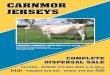 CARNMOR SPEEDWAY JOYCE EX4 BW196 PW321 · ALMA EX4 8-8 Winner of numerous Championships in Northland for the Browning Family – Dargaville. CARNMOR GROVES AMANDA EX2 Winning 2 Year